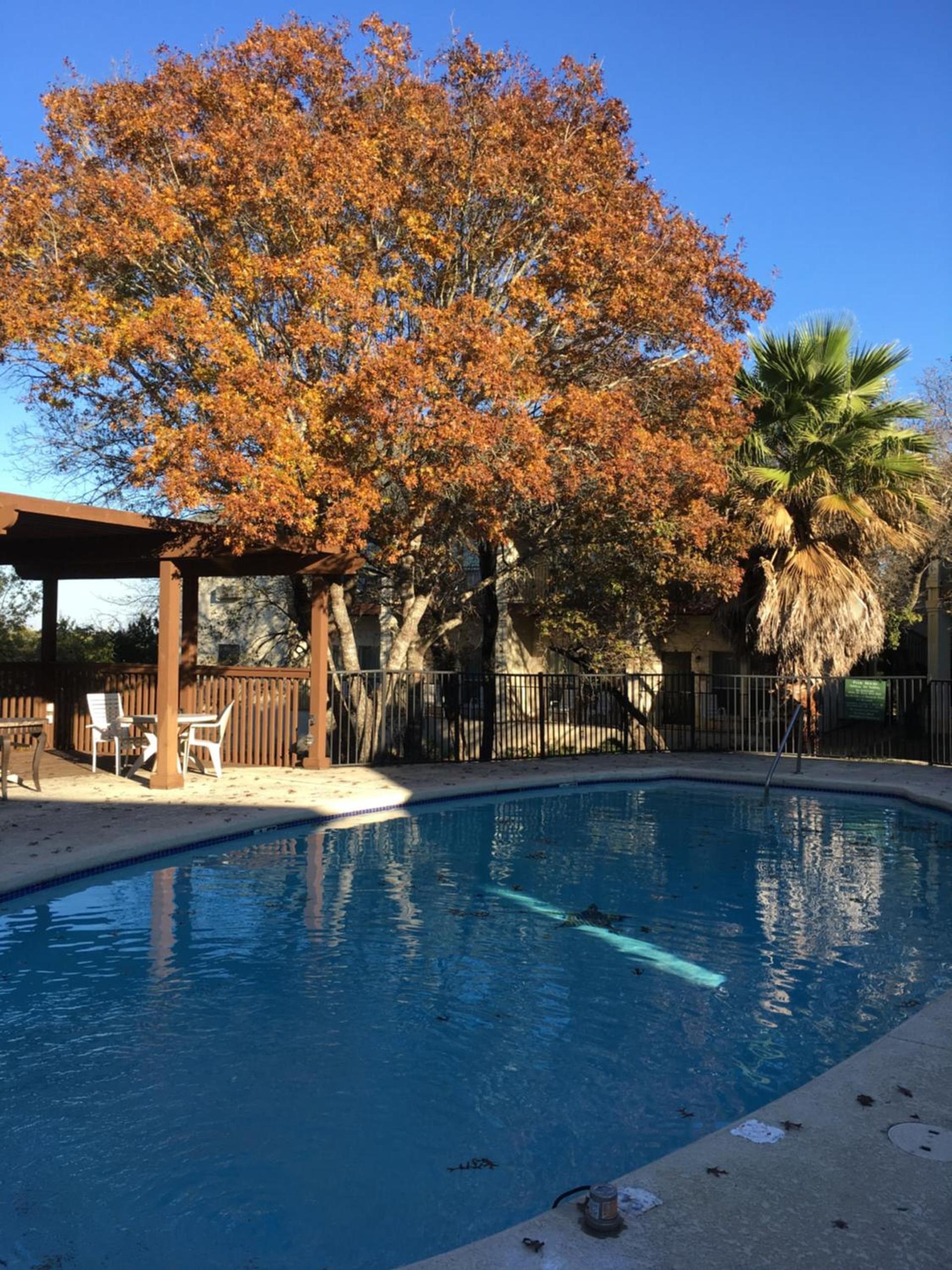 Mountain Star Lodge photo 30