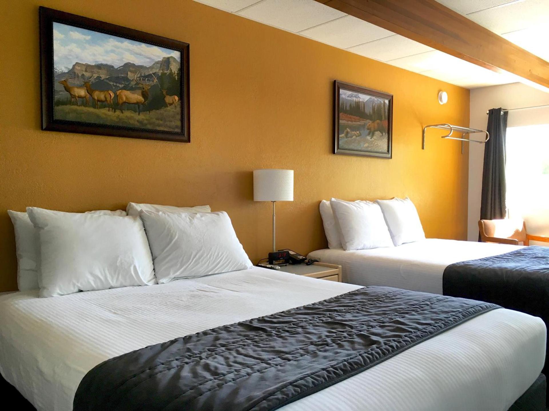 City Center Motel photo 49