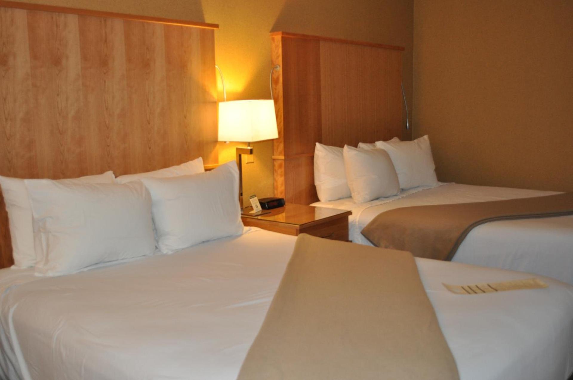 Mirabeau Park Hotel photo 52