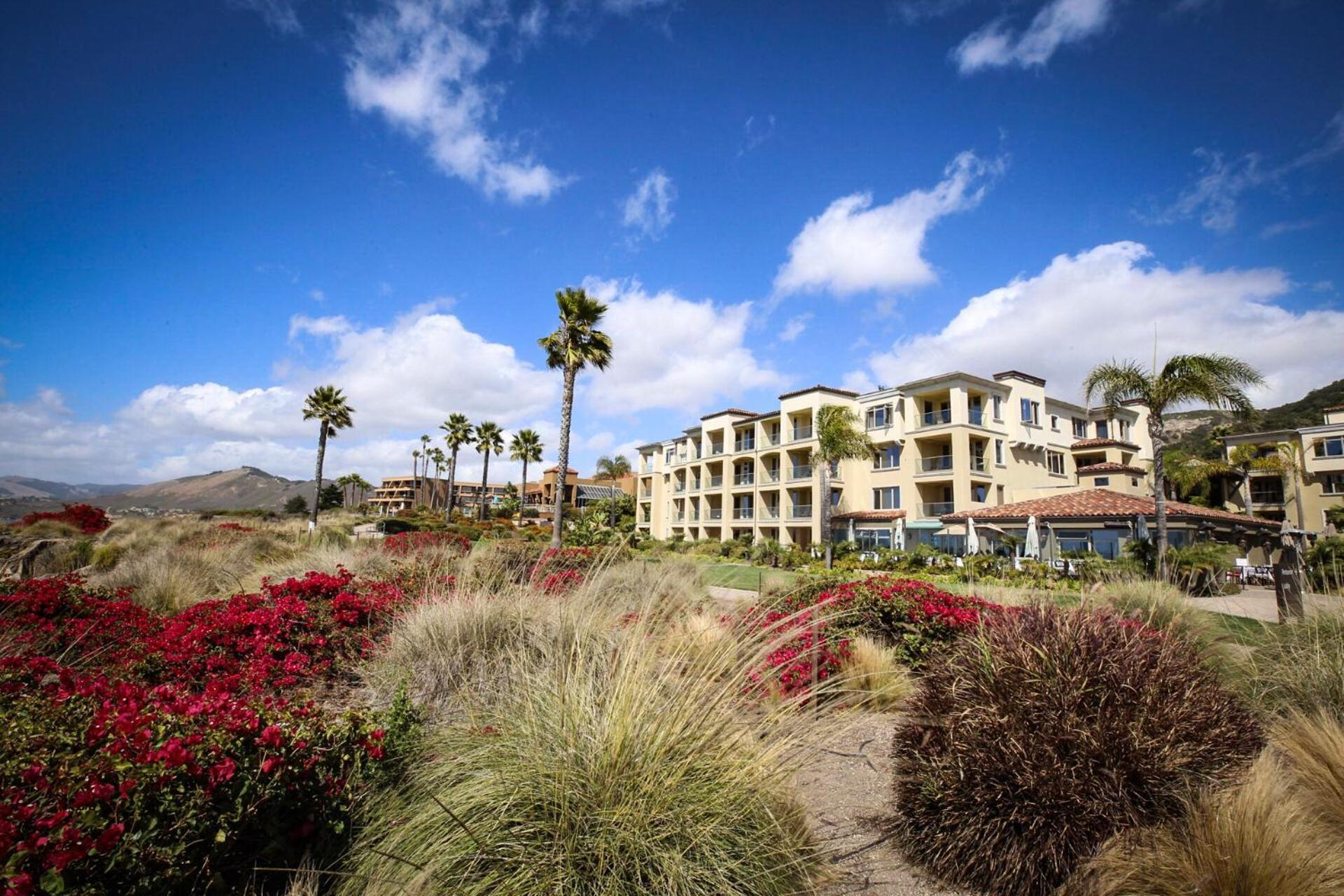 Dolphin Bay Resort and Spa photo 24