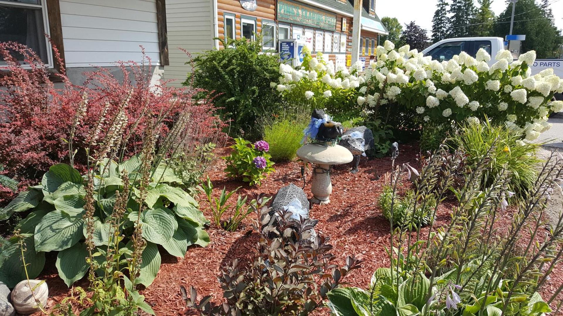 Bear Cove Inn photo 34