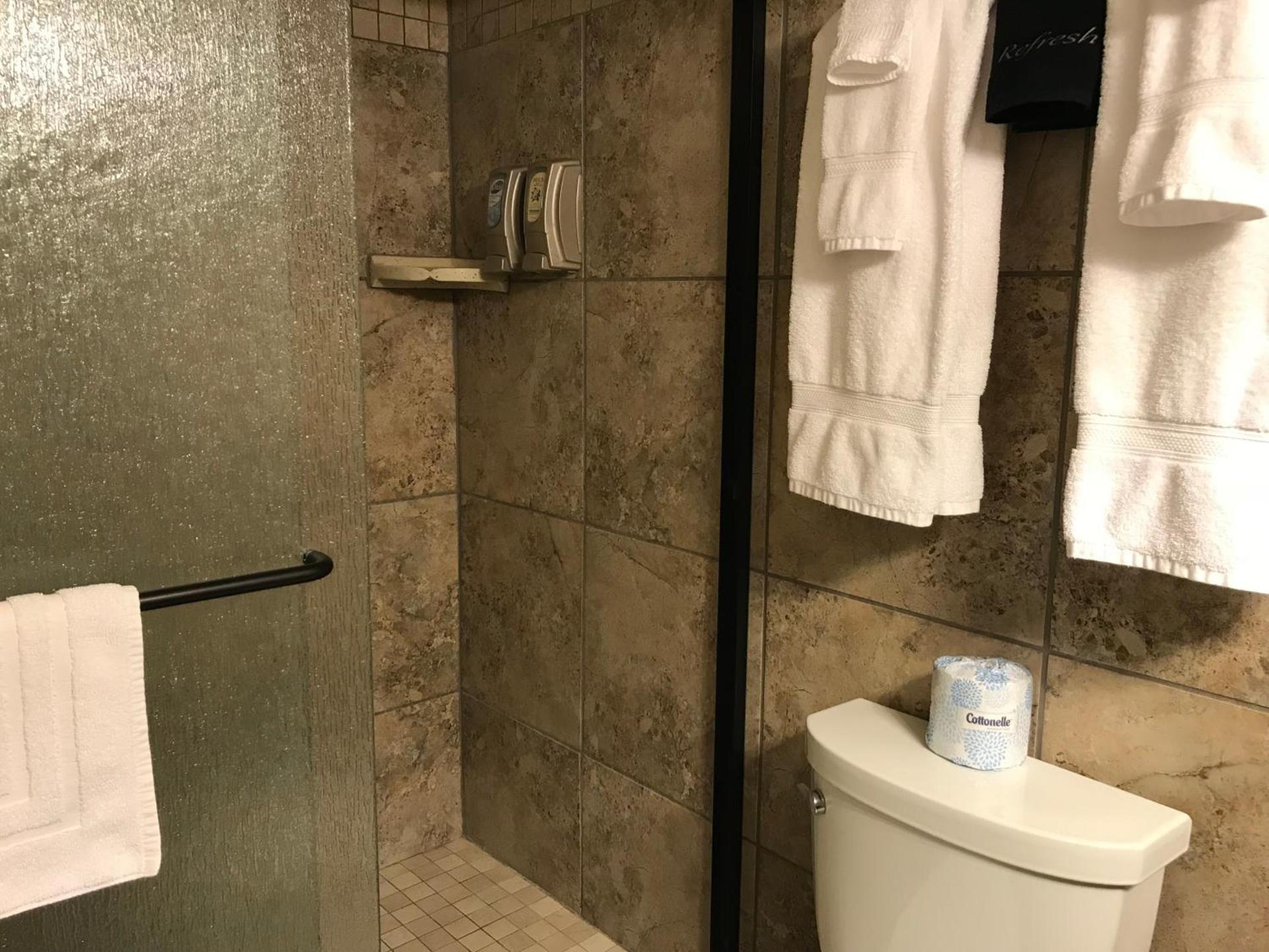 Dinosaur Inn & Suites photo 45
