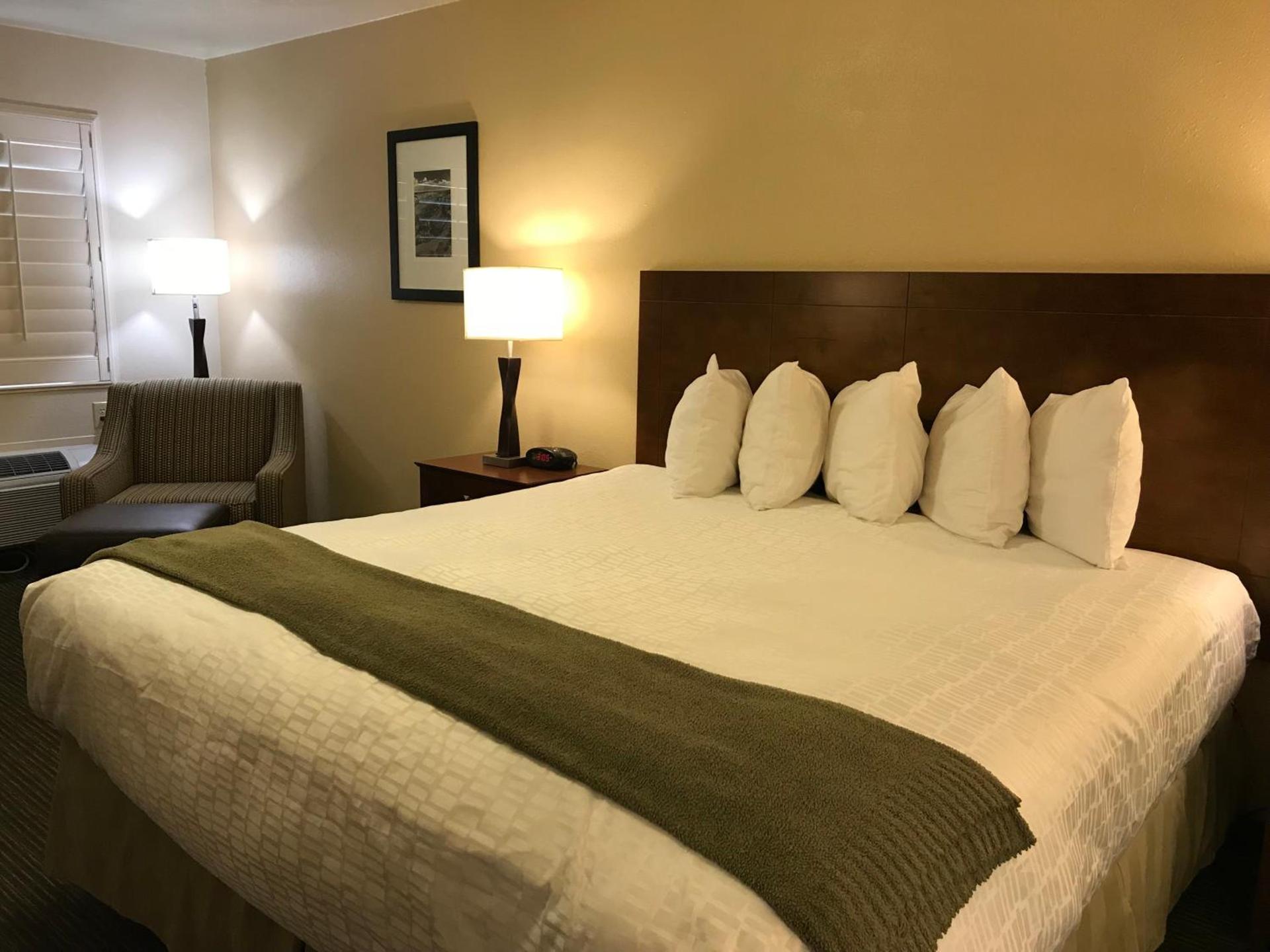 Dinosaur Inn & Suites photo 17