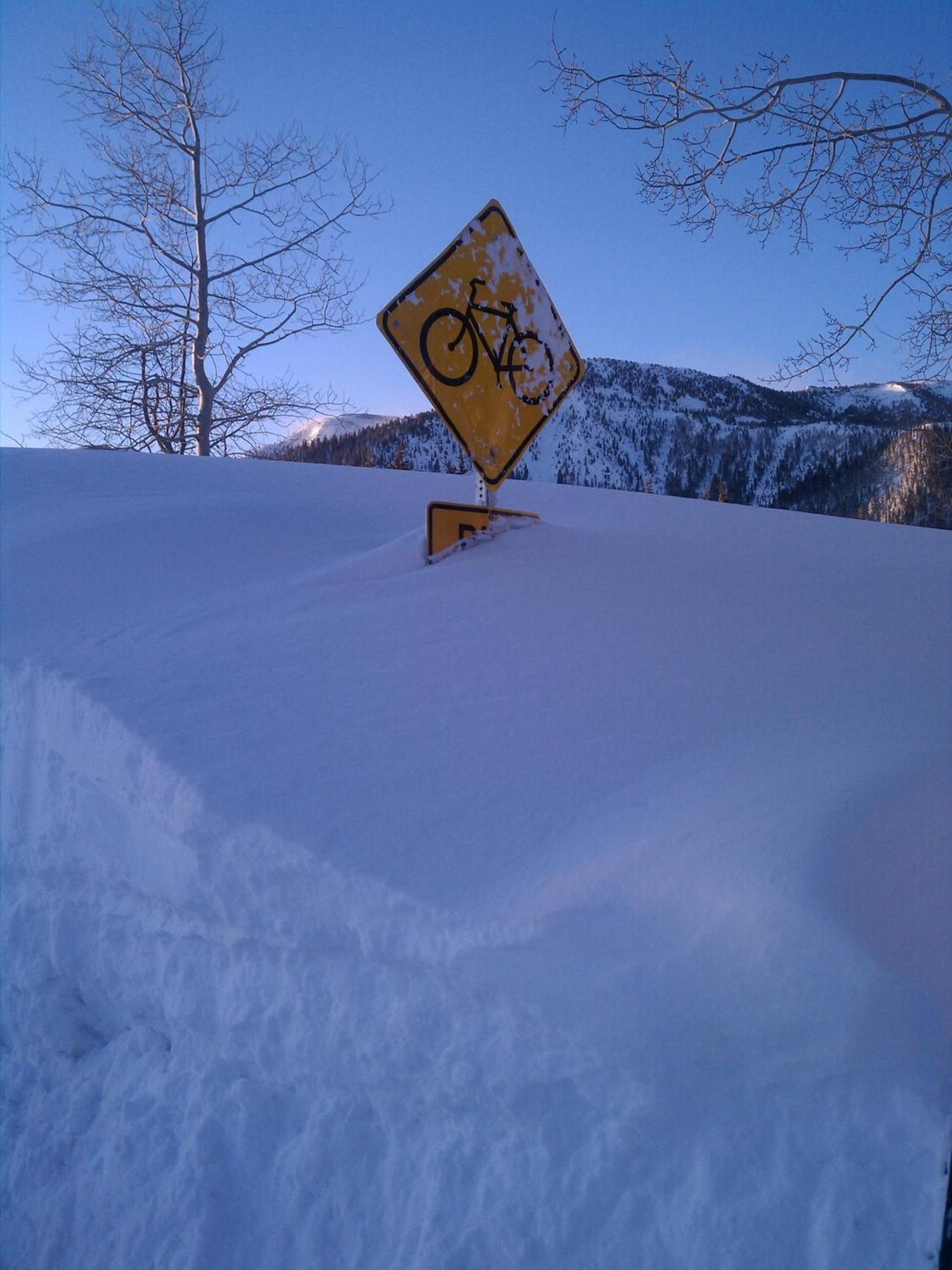 Snowcreek Resort Vacation Rentals photo 20