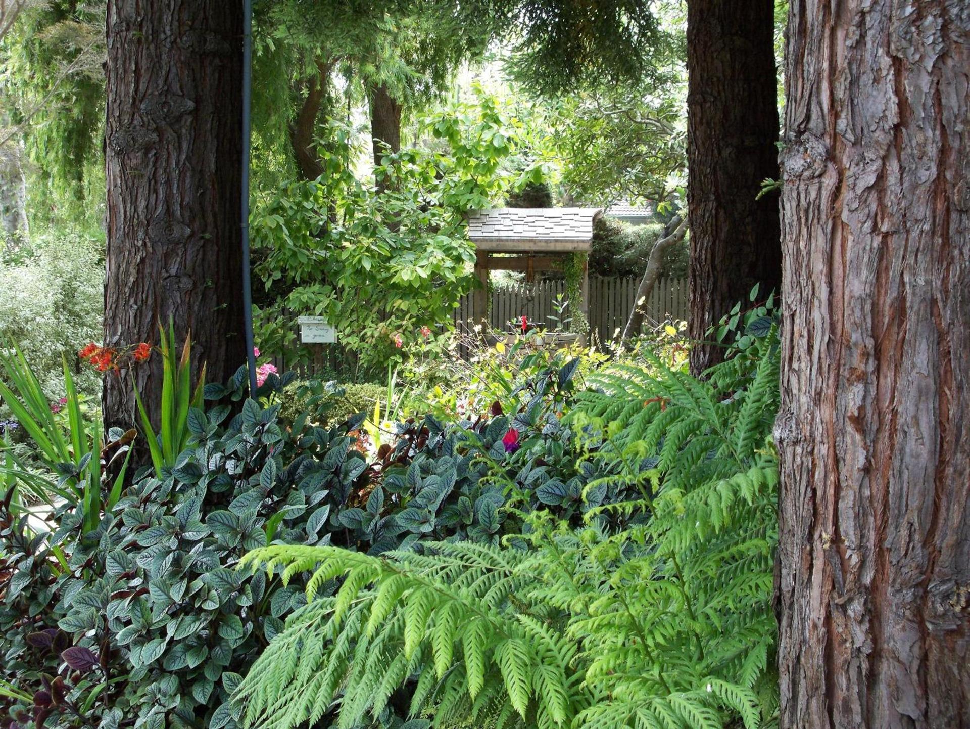 Cambria Pines Lodge photo 28