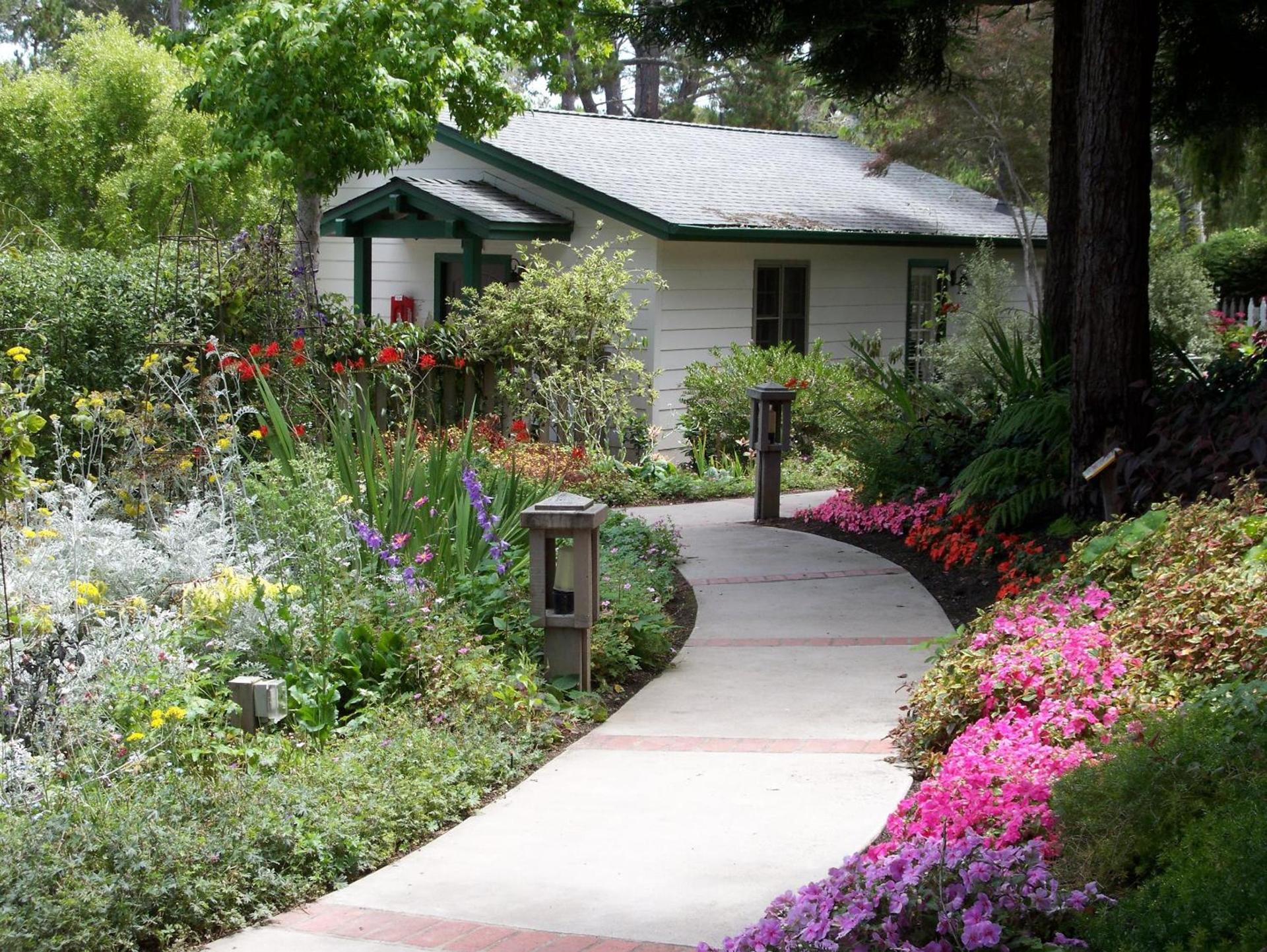 Cambria Pines Lodge photo 16
