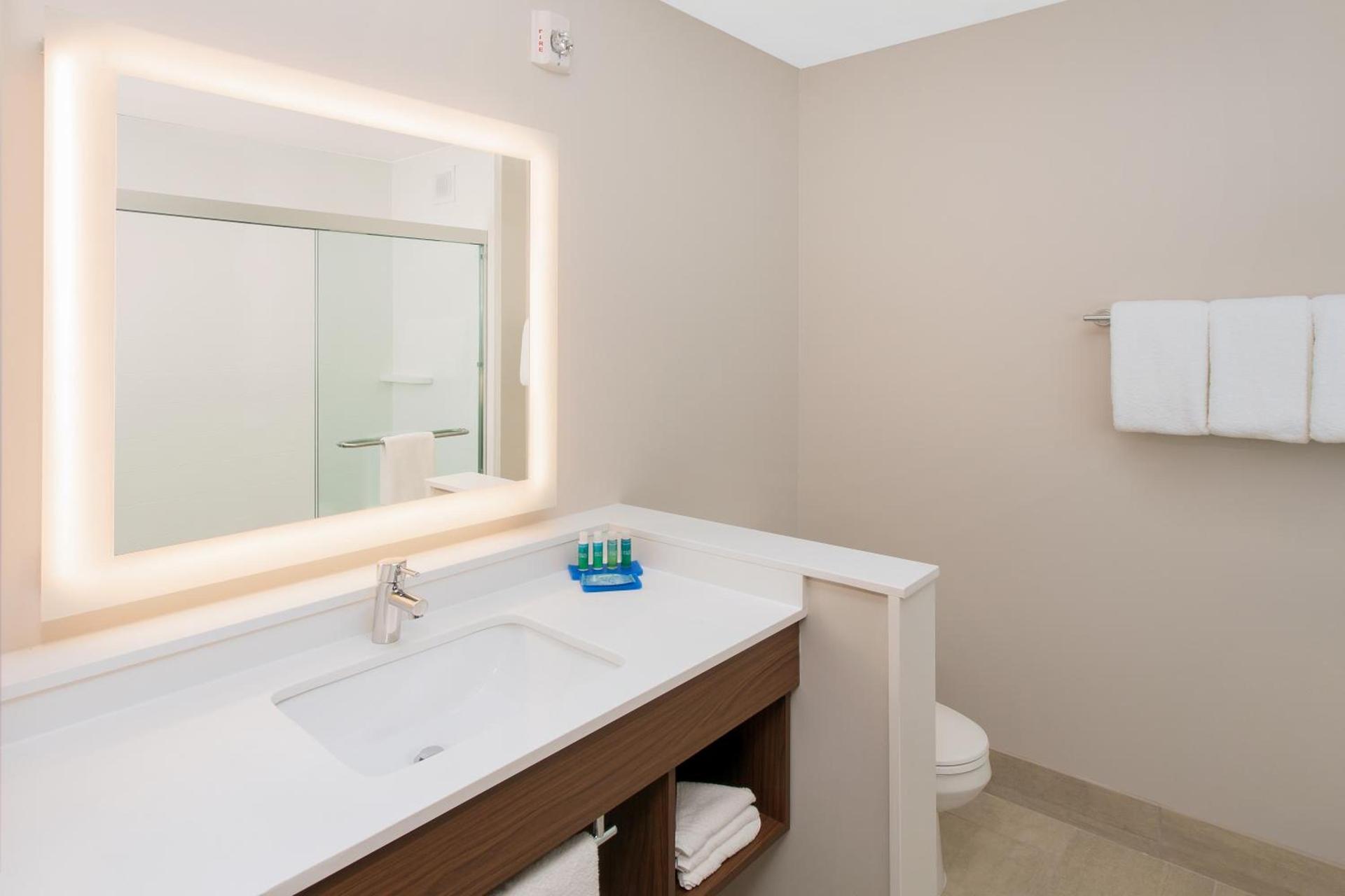 Holiday Inn Express & Suites - Sterling Heights-Detroit Area by IHG photo 6