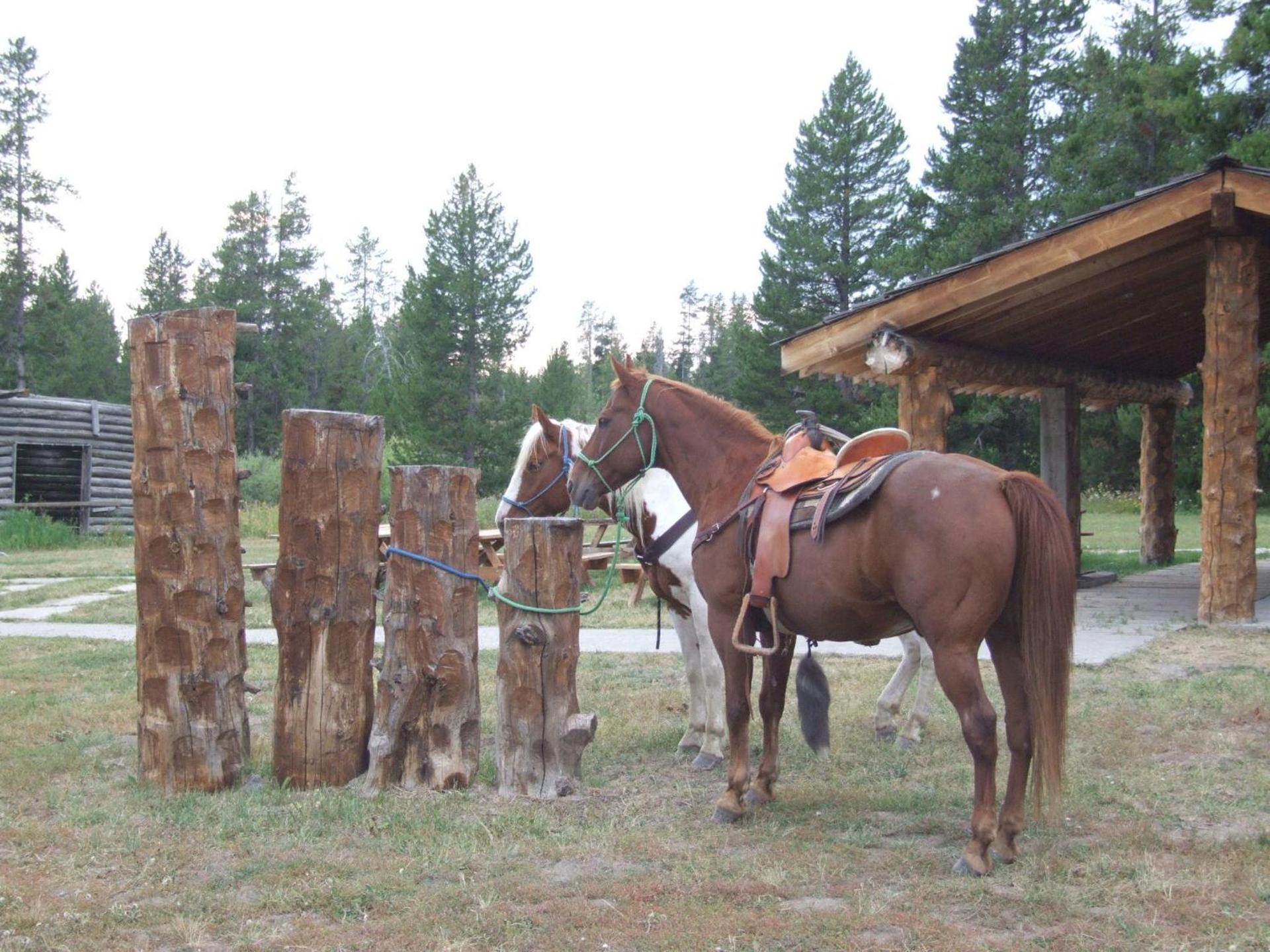 Eagle Ridge Ranch photo 5