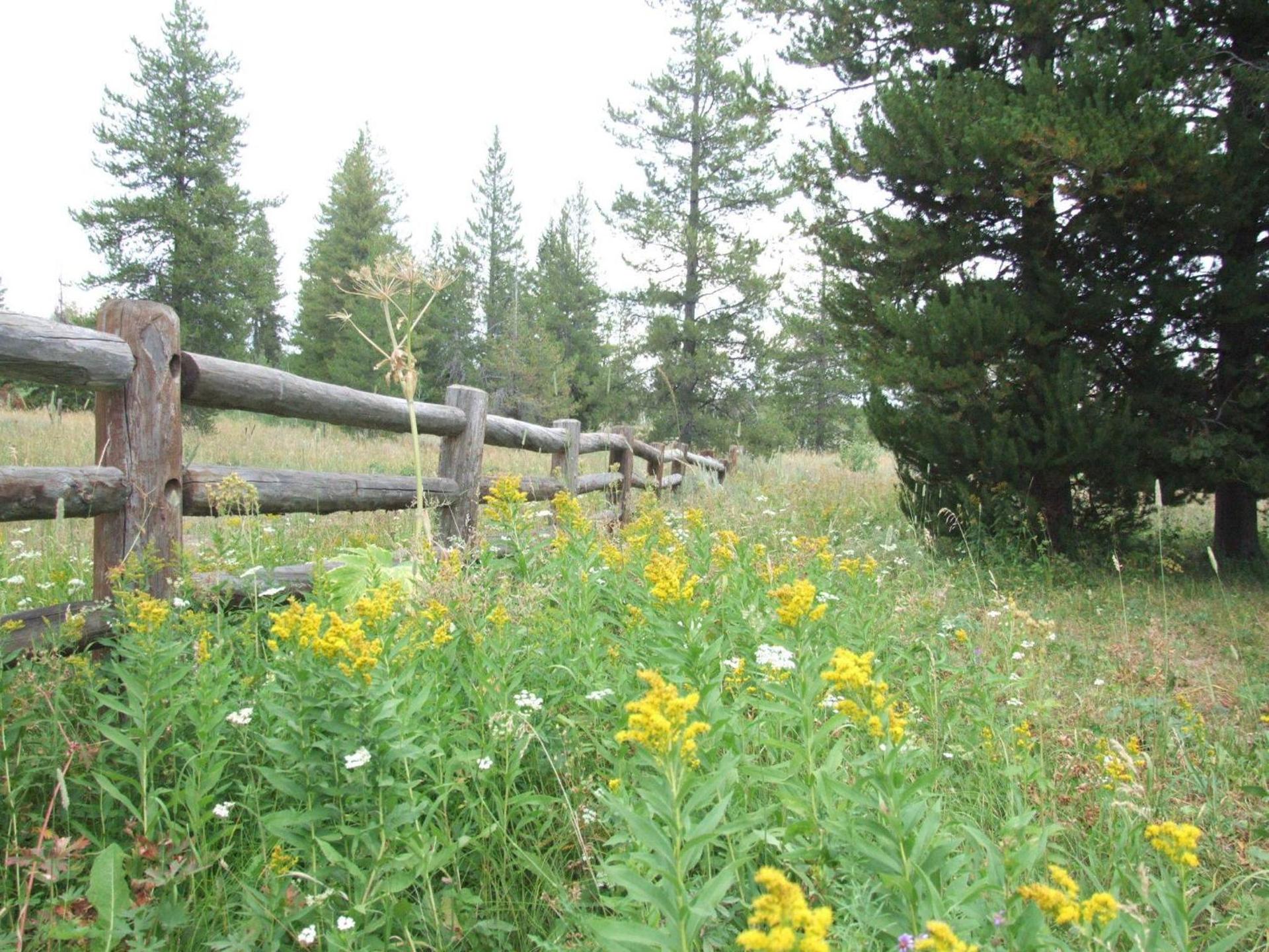 Eagle Ridge Ranch photo 37