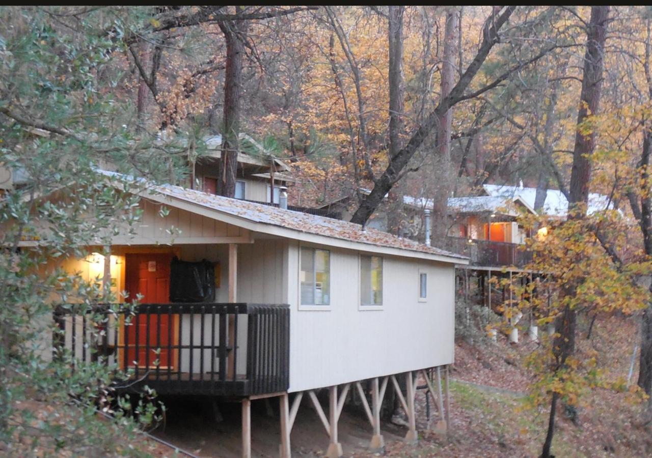 Yosemite Bug Rustic Mountain Resort photo 6