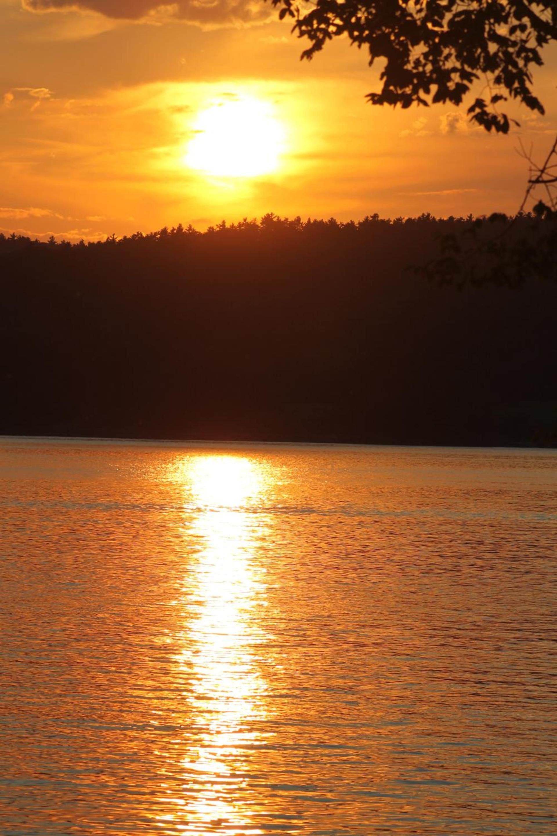 Basin Harbor photo 41
