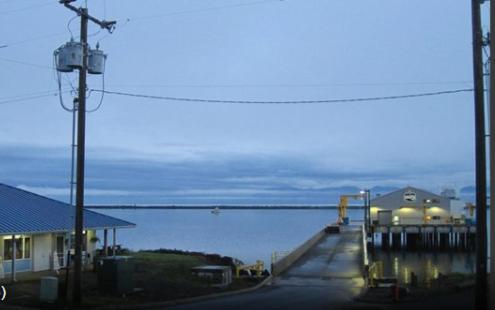 Apocalypto Motel photo 4