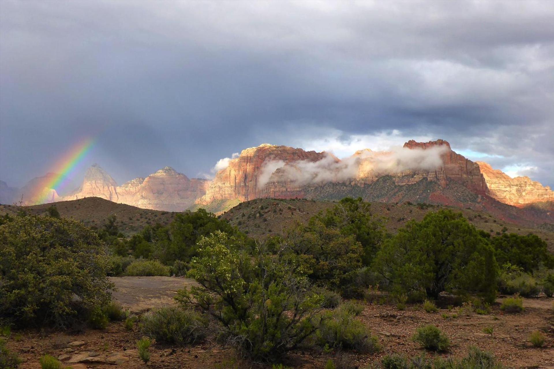 2 Cranes Inn - Zion photo 11