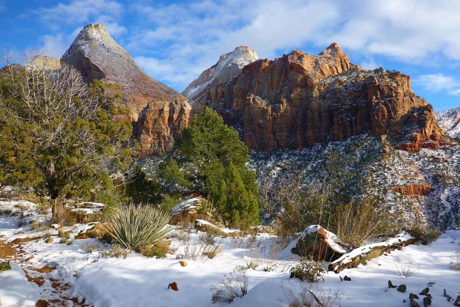 2 Cranes Inn - Zion photo 8