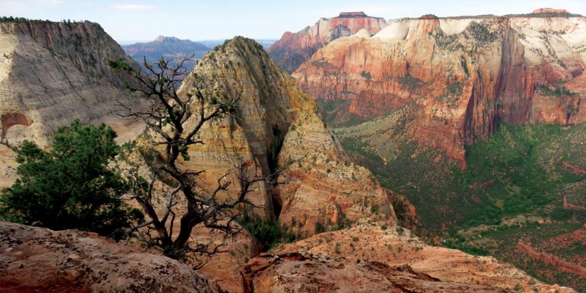 2 Cranes Inn - Zion photo 34