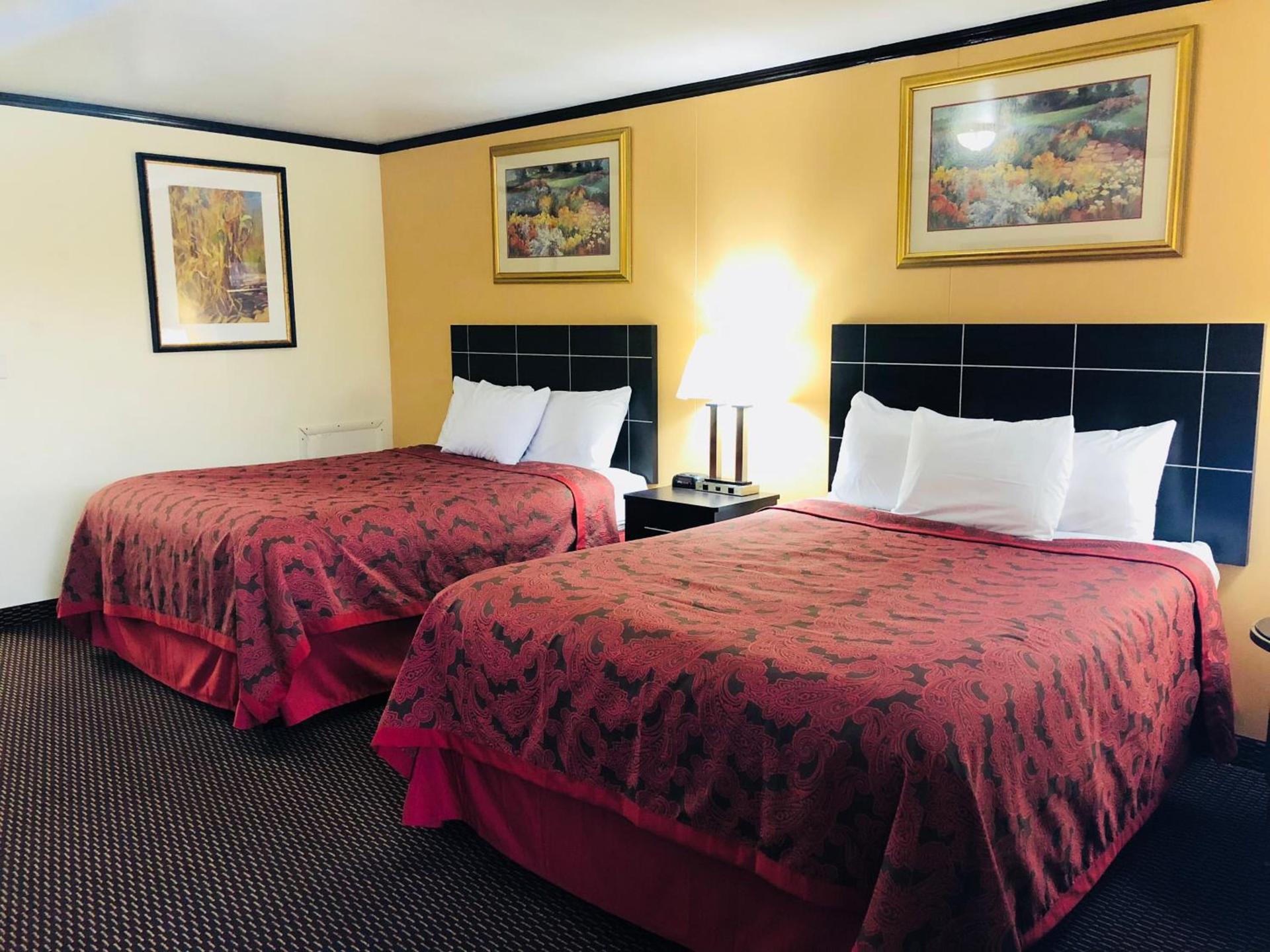Flamingo Inn photo 10