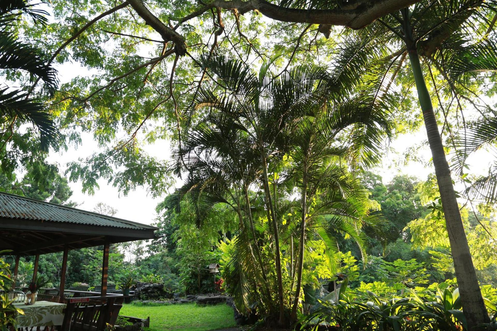 Hale Maluhia Country Inn photo 40