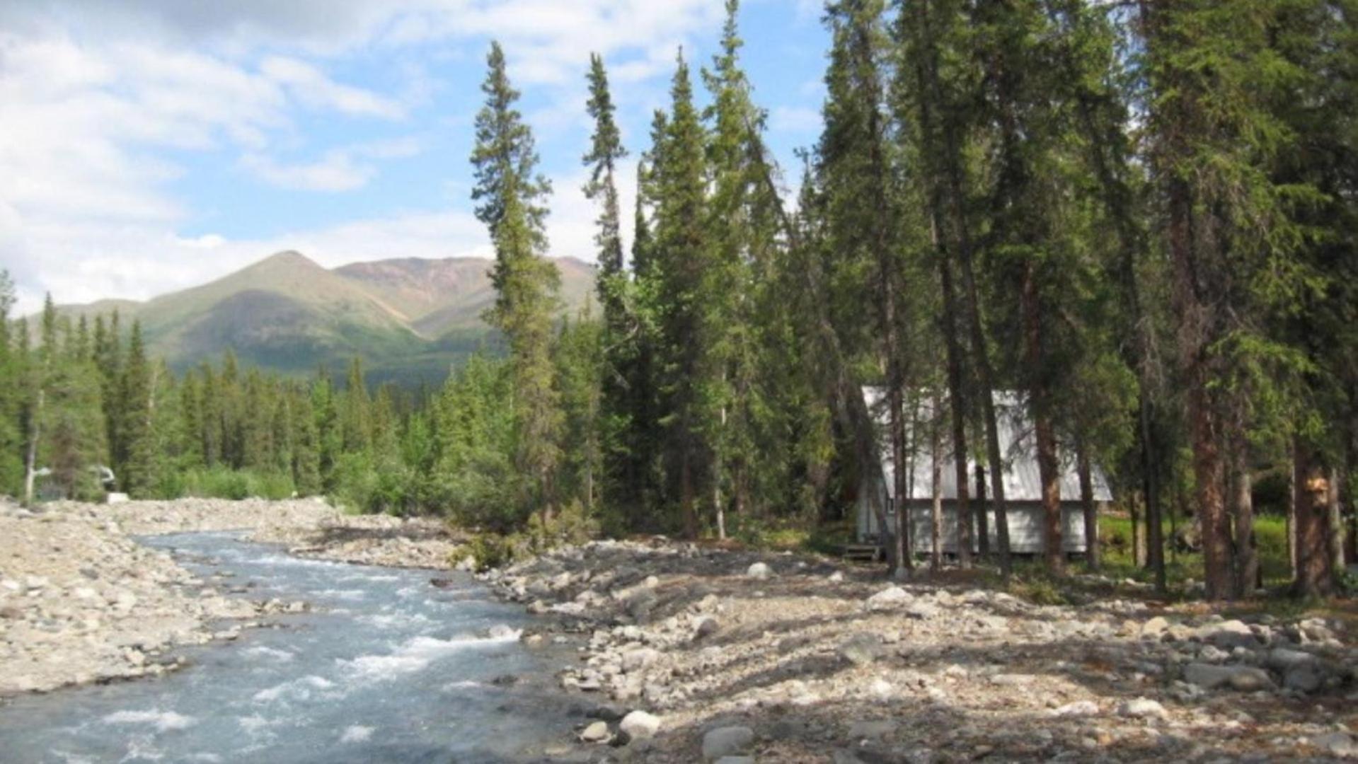 The Perch Resort photo 13