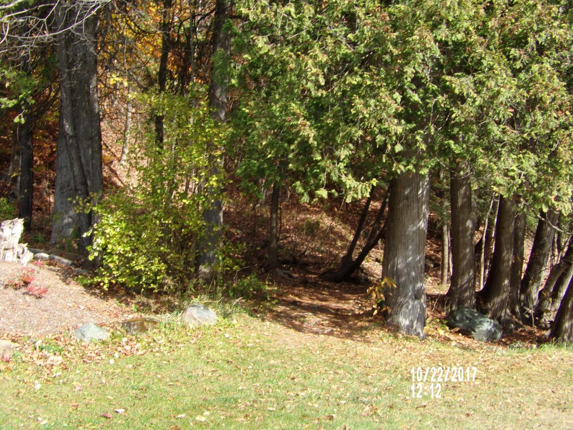 Pine Crest Motel & Cabins photo 76