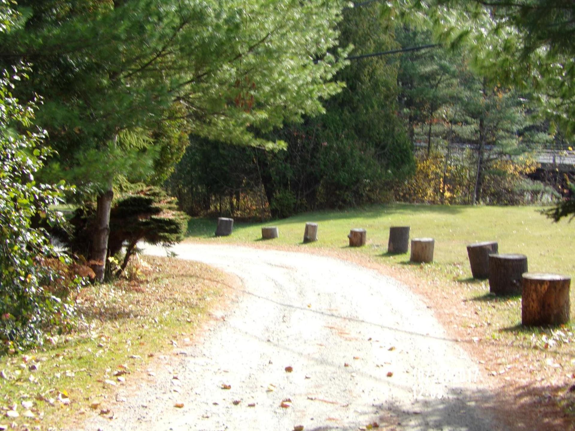 Pine Crest Motel & Cabins photo 73