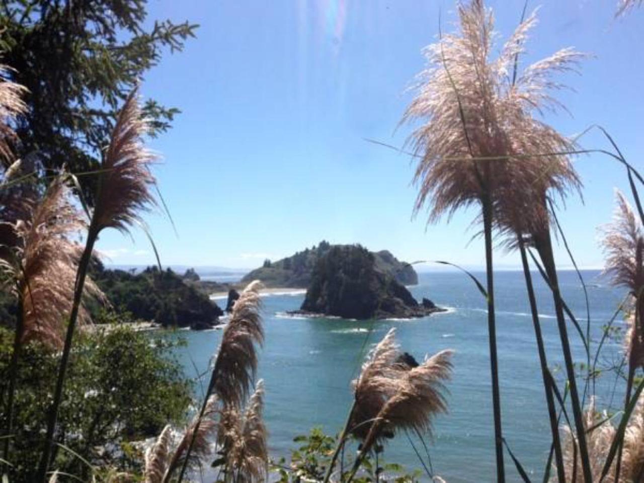 Lookout At Trinidad Bay photo 20
