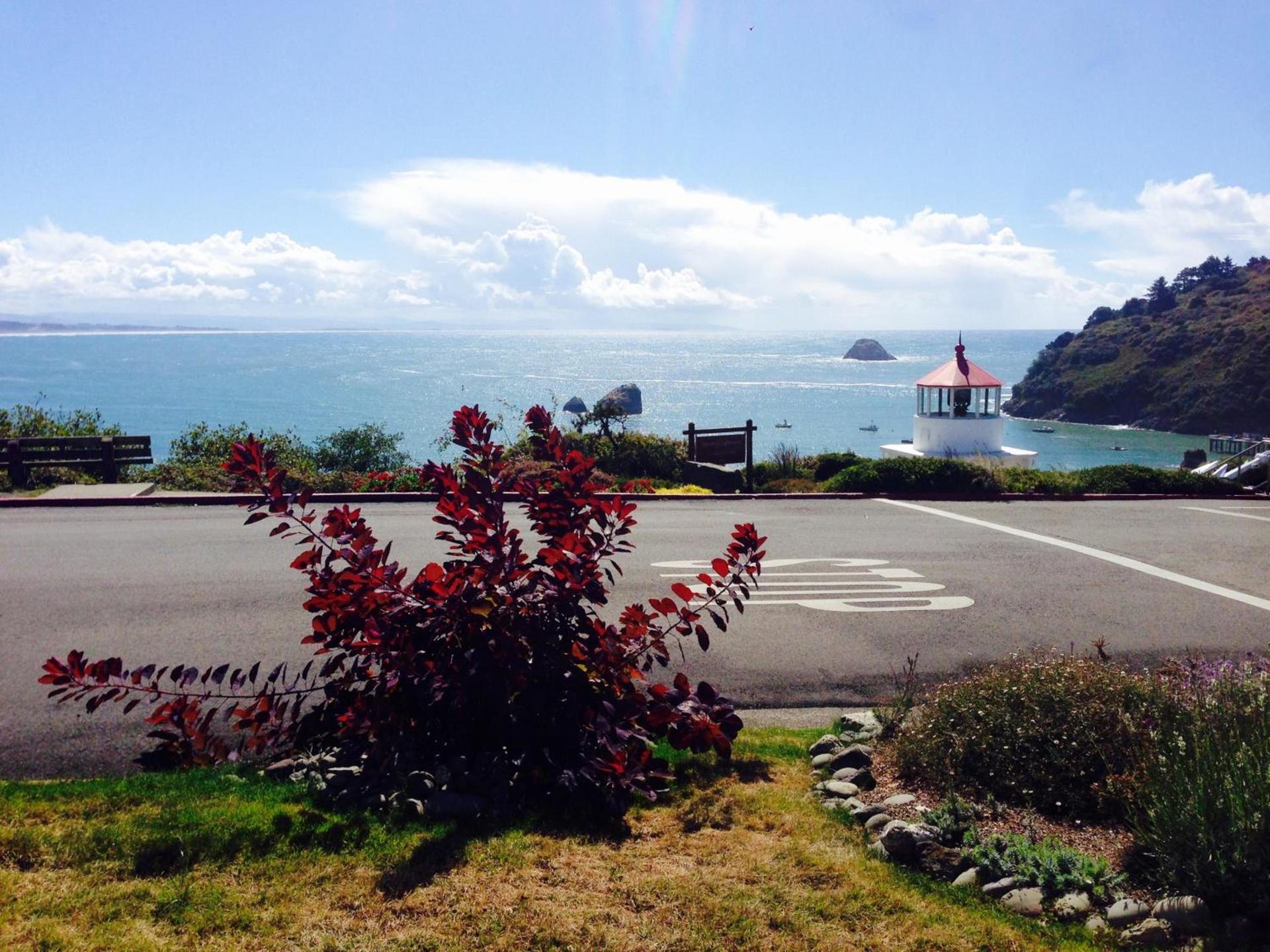 Lookout At Trinidad Bay photo 16
