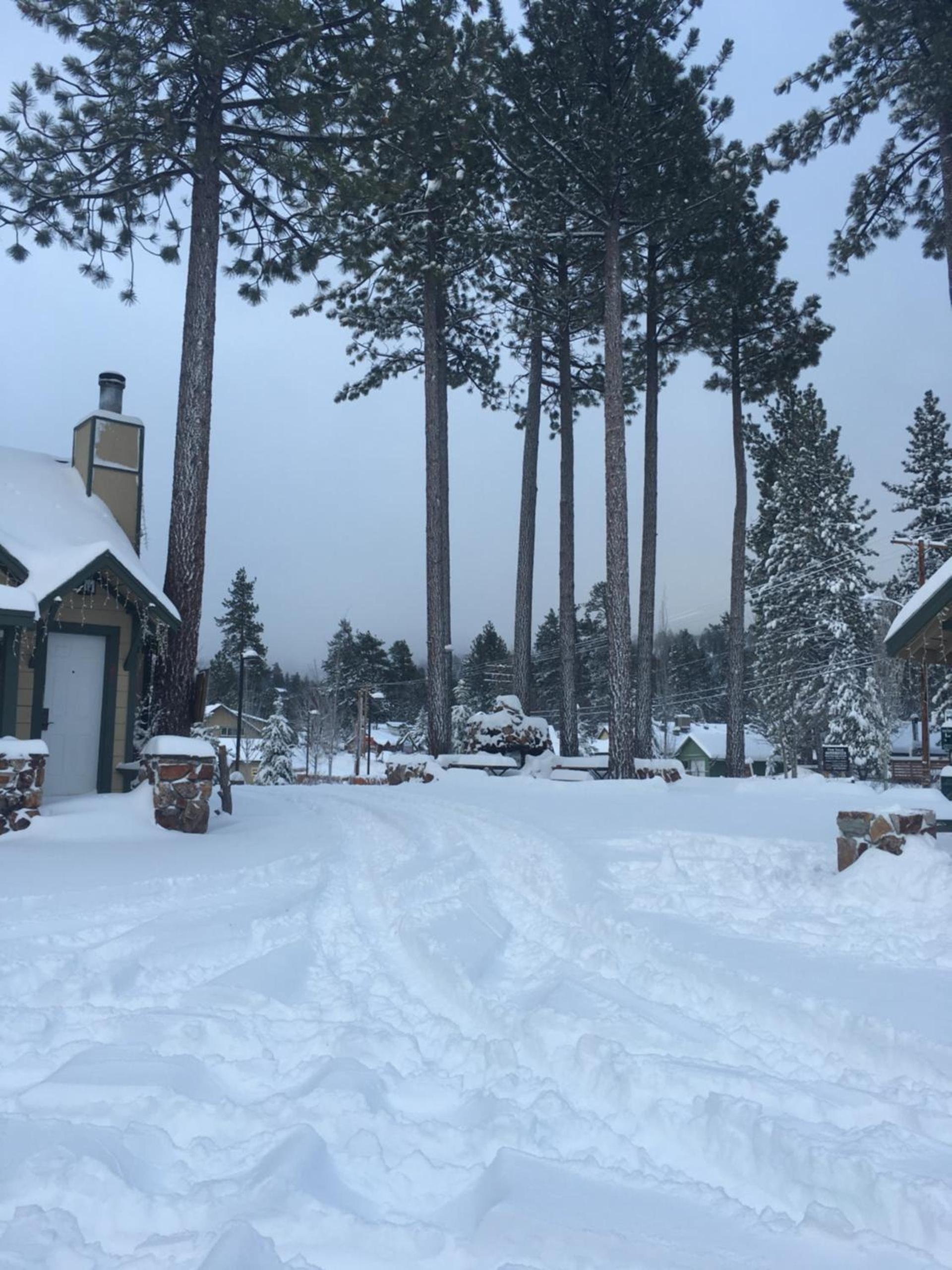 Bear Creek Resort photo 40