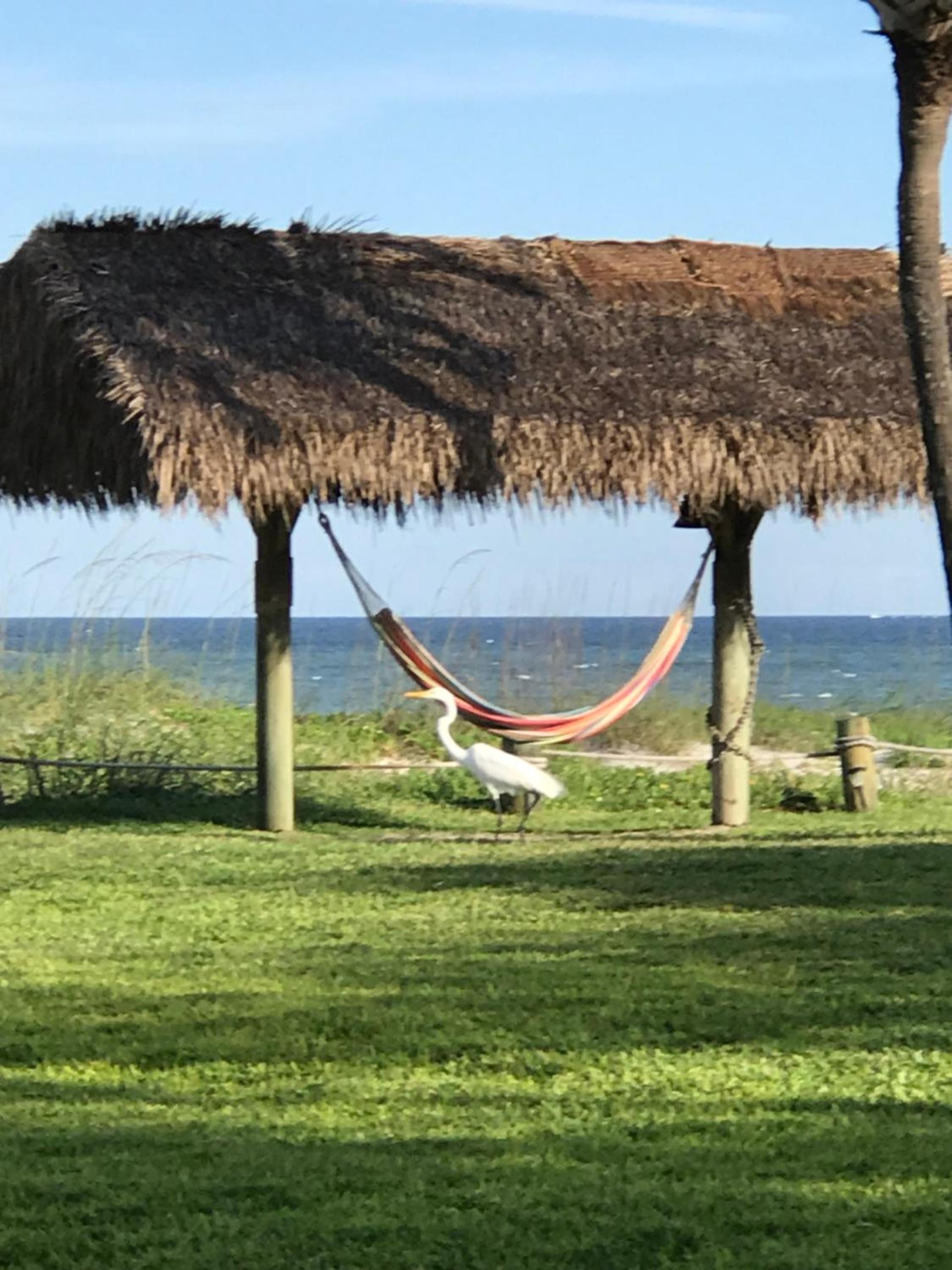 South Beach Inn - Cocoa Beach photo 46