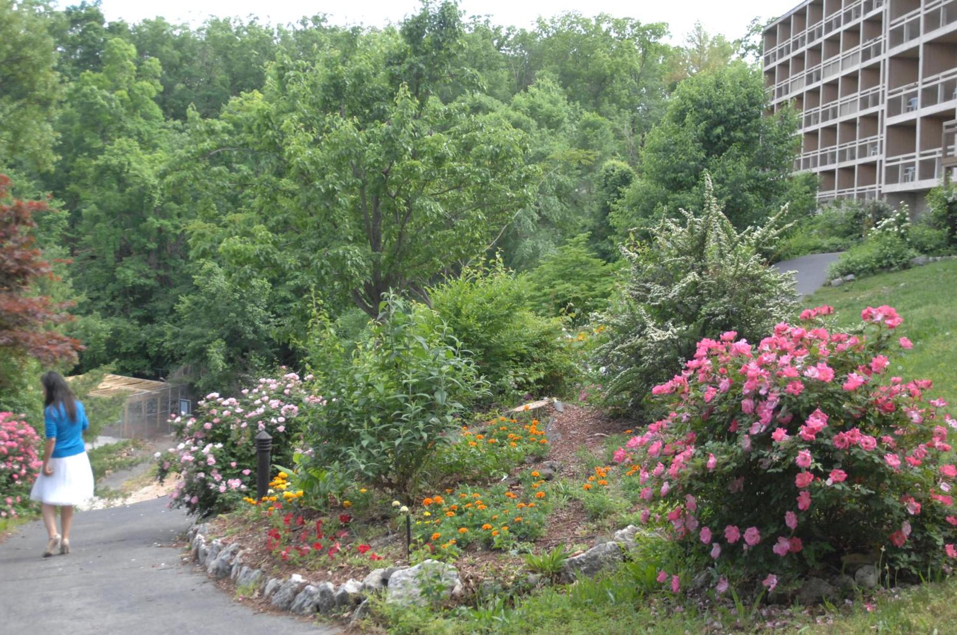 Inn at Grand Glaize photo 38