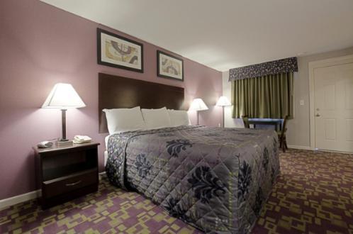Mount Holyoke Inn photo 35