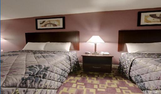 Mount Holyoke Inn photo 43