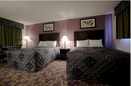 Mount Holyoke Inn photo 46