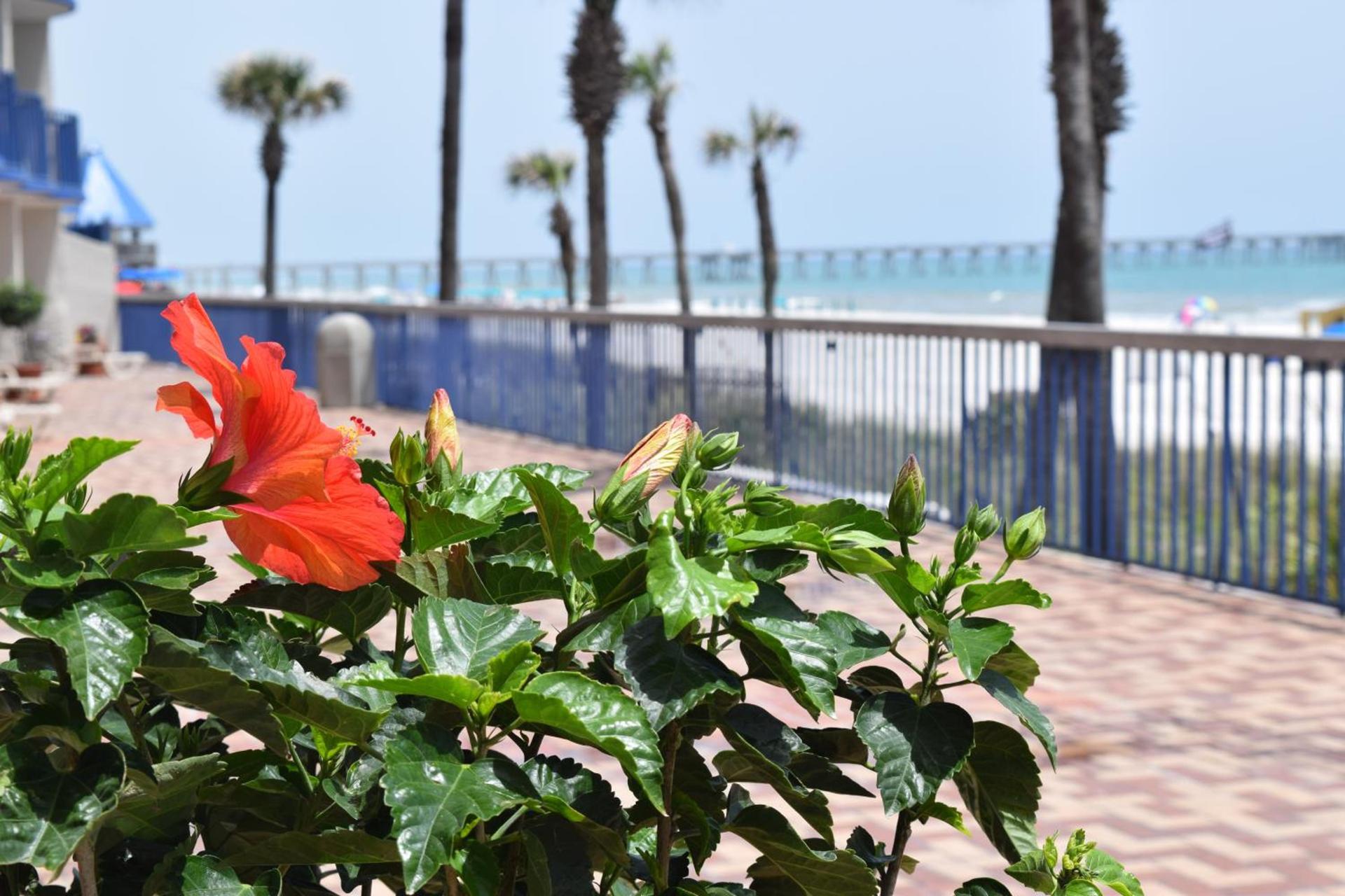 Days Inn by Wyndham Panama City Beach Beachfront Resort photo 62
