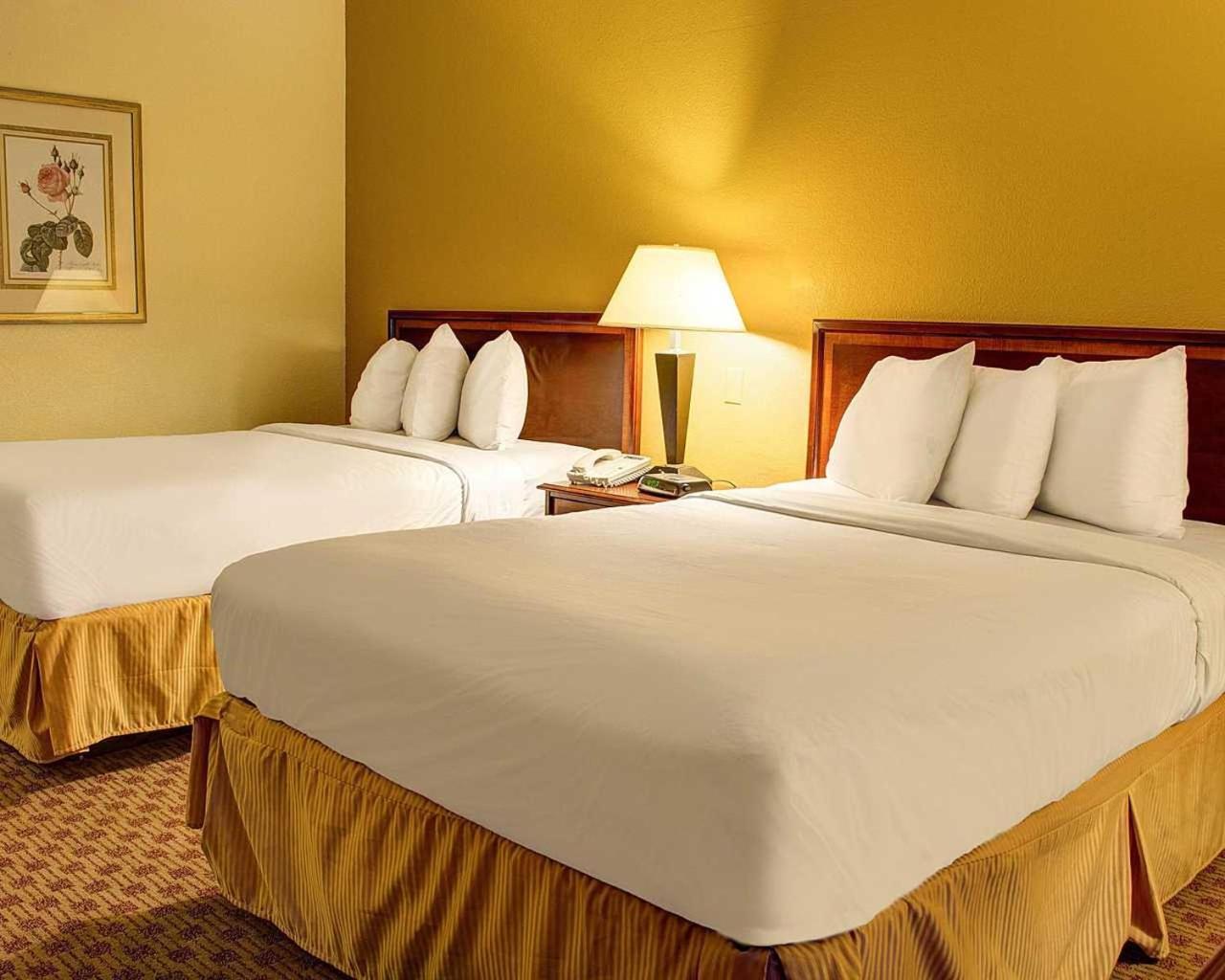 Quality Inn Richmond North photo 9