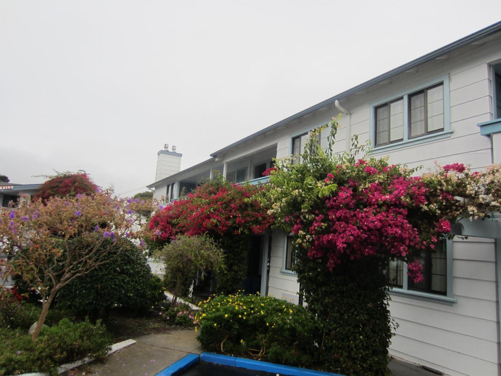 Arbor Inn Monterey photo 17
