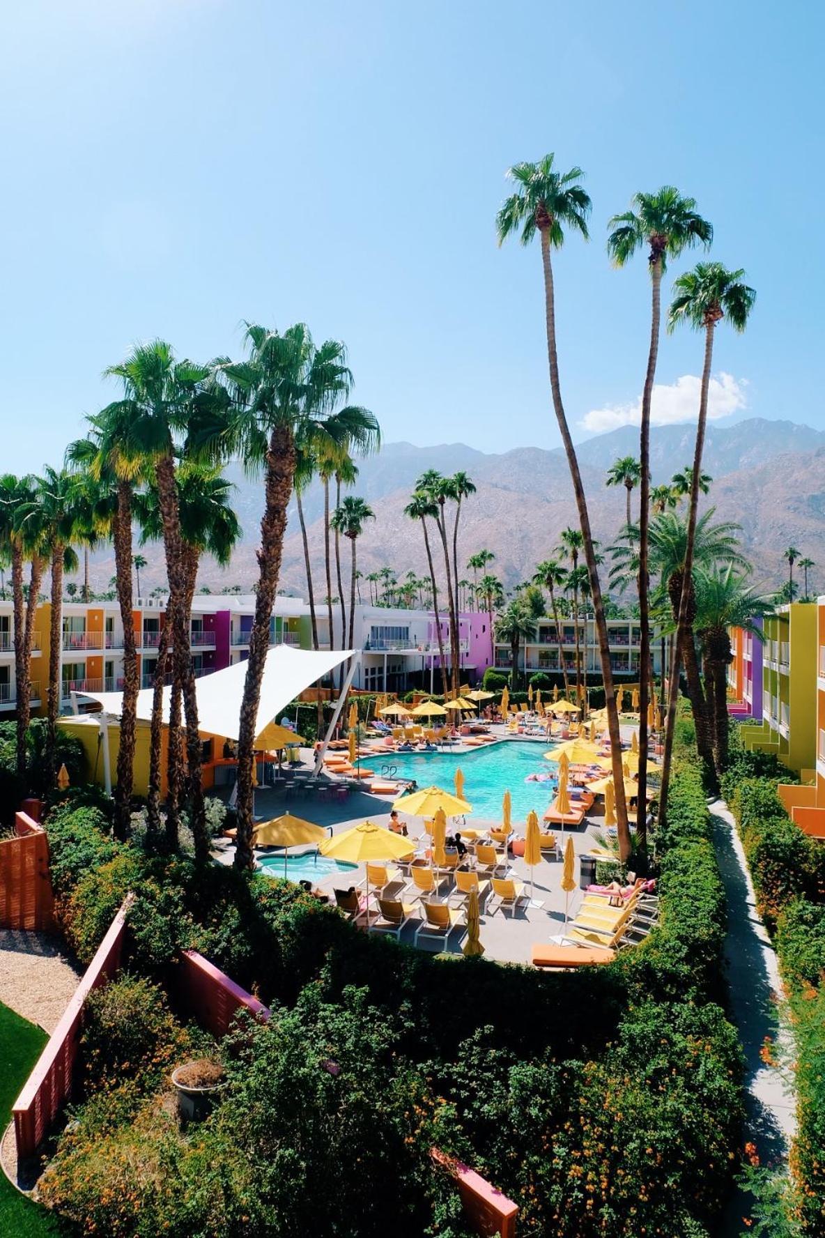 The Saguaro Palm Springs photo 5