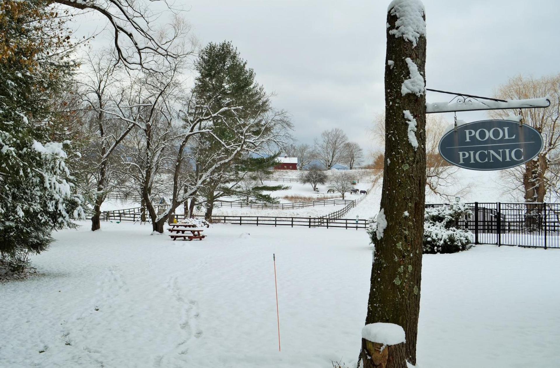 Maple Terrace Motel photo 86