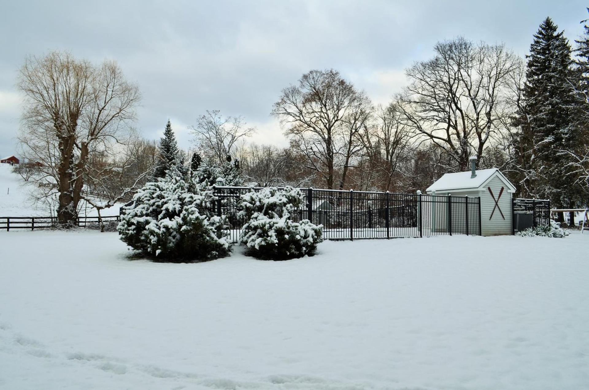 Maple Terrace Motel photo 13