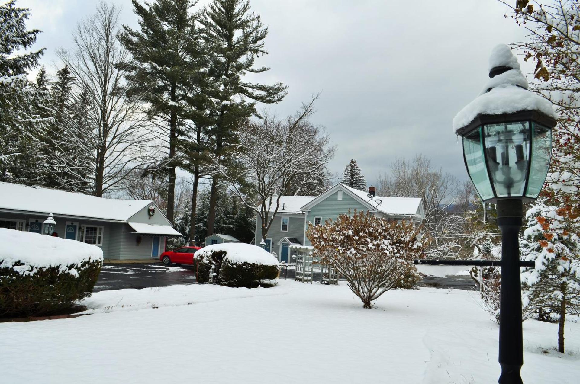 Maple Terrace Motel photo 14