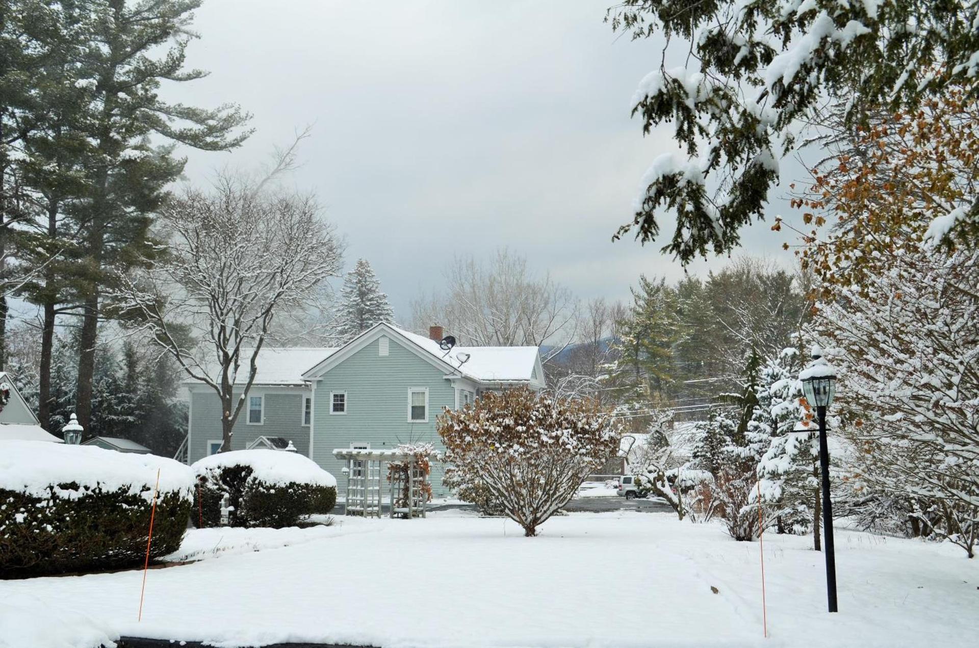 Maple Terrace Motel photo 5