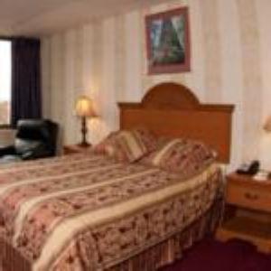 Amsterdam Hotel photo 4