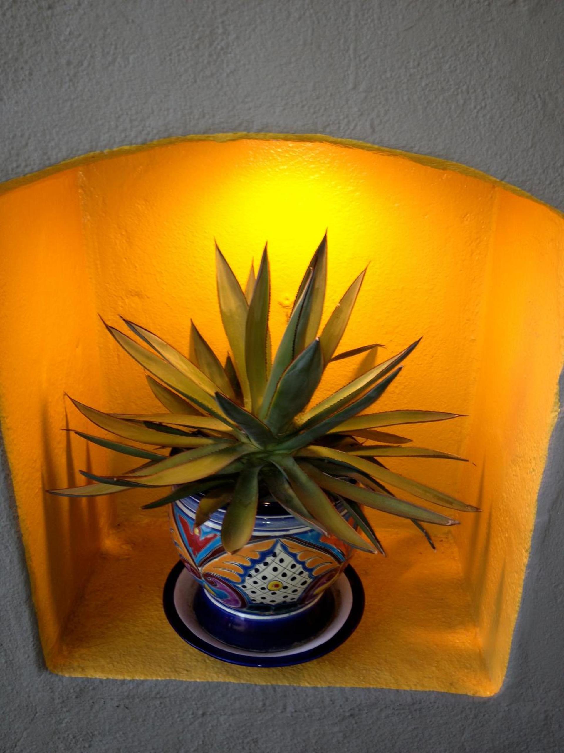 Agave Inn photo 6