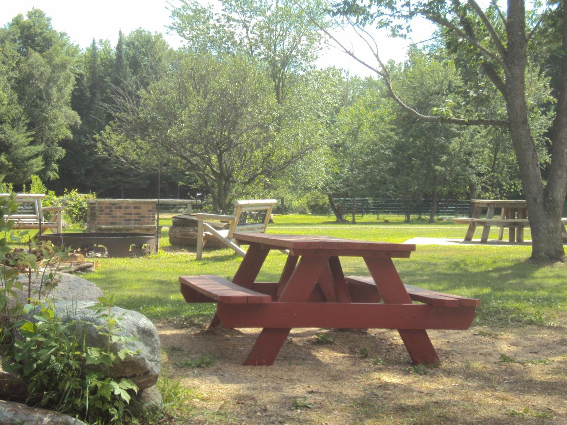 Spur of the Moment Ranch photo 42
