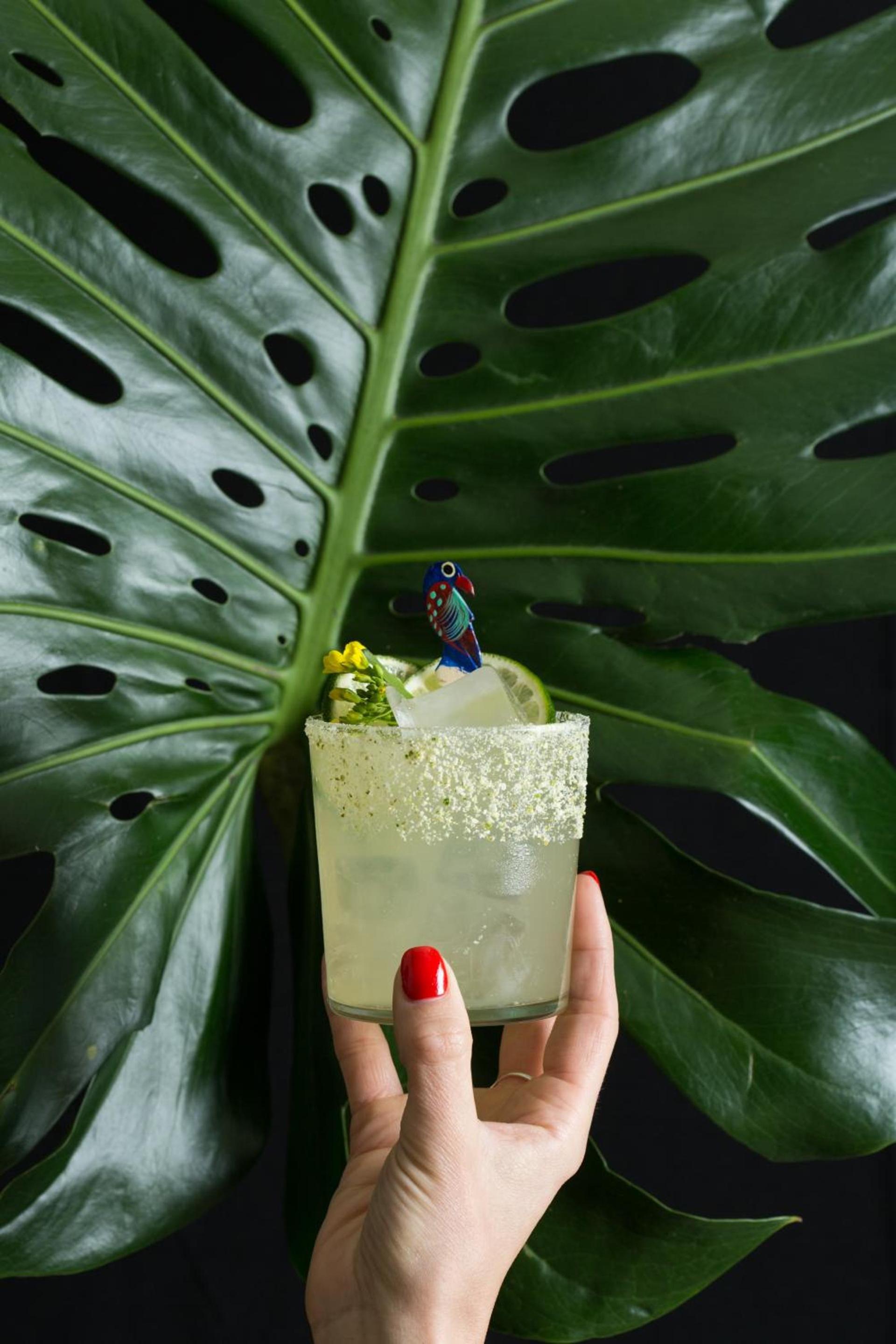 Freehand New York photo 42