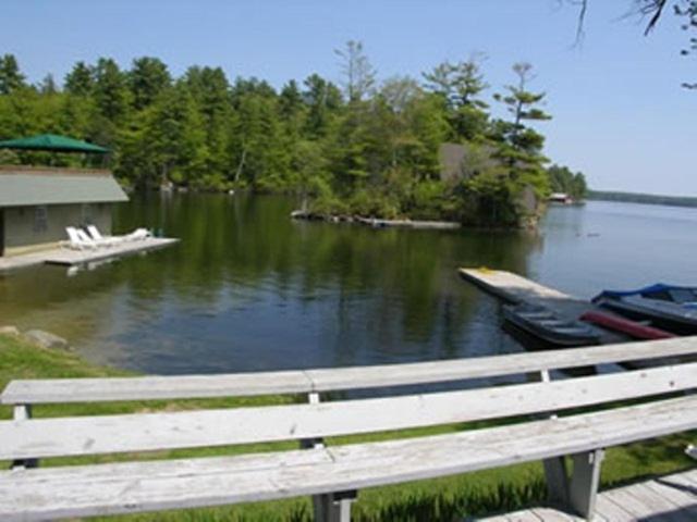 Oliver Lodge photo 26