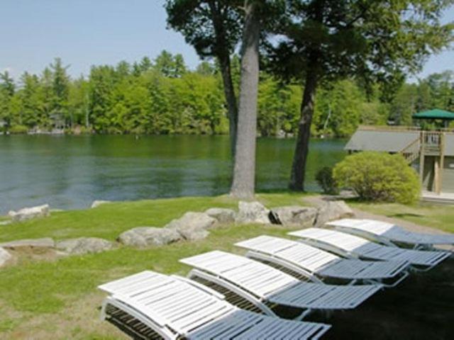 Oliver Lodge photo 15