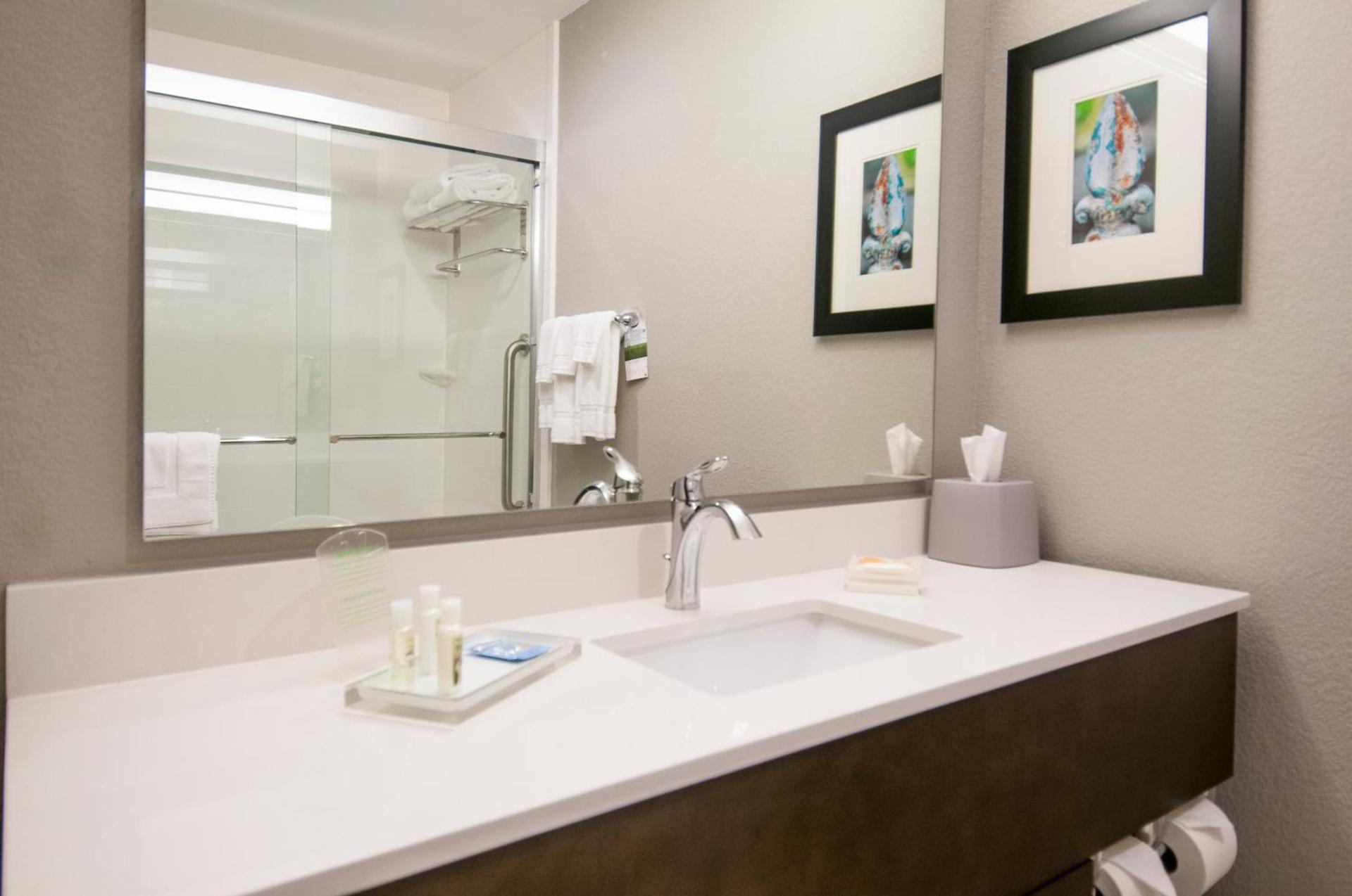 Holiday Inn - New Orleans Airport North by IHG photo 7