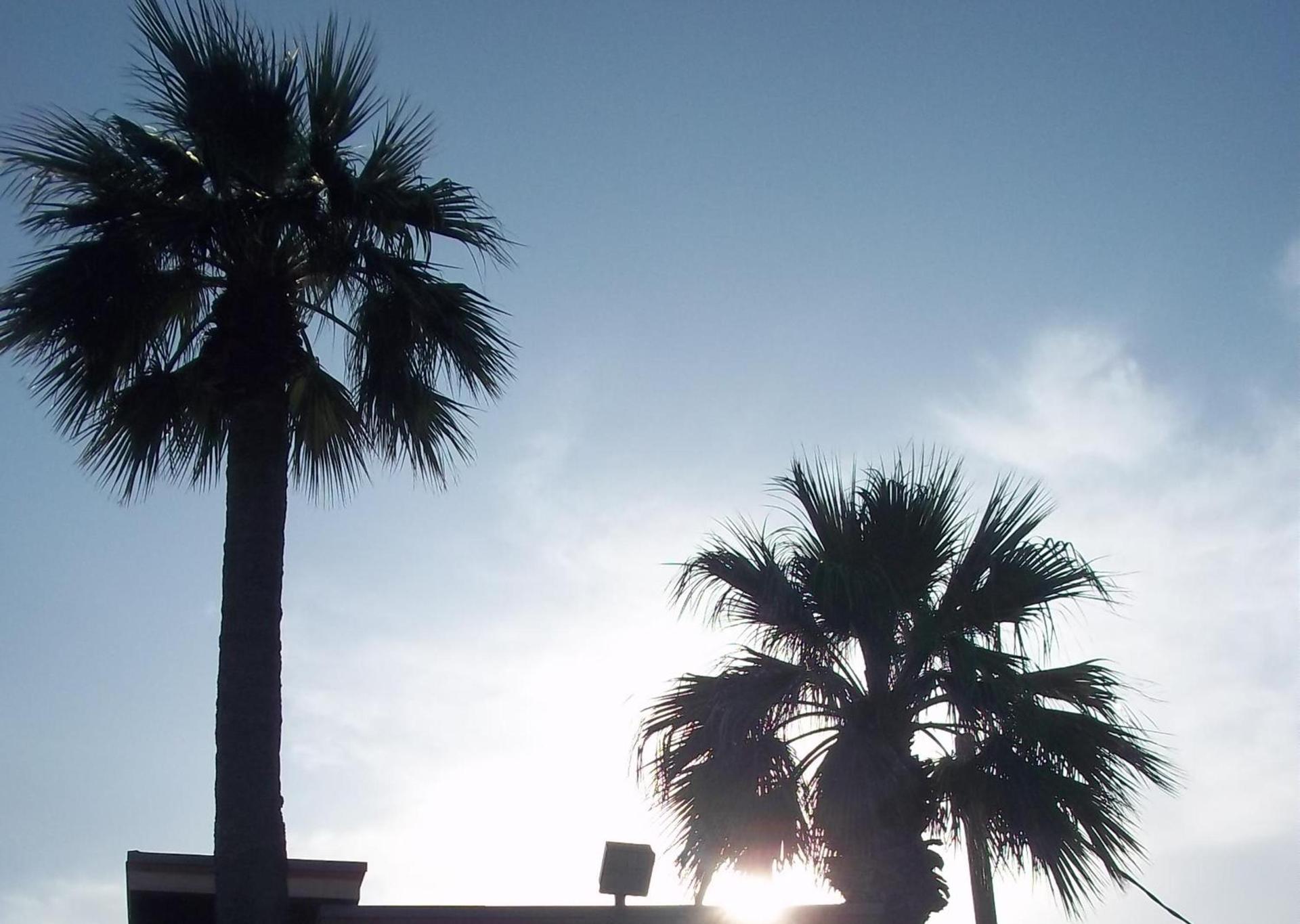 Whispering Palms Inn photo 20