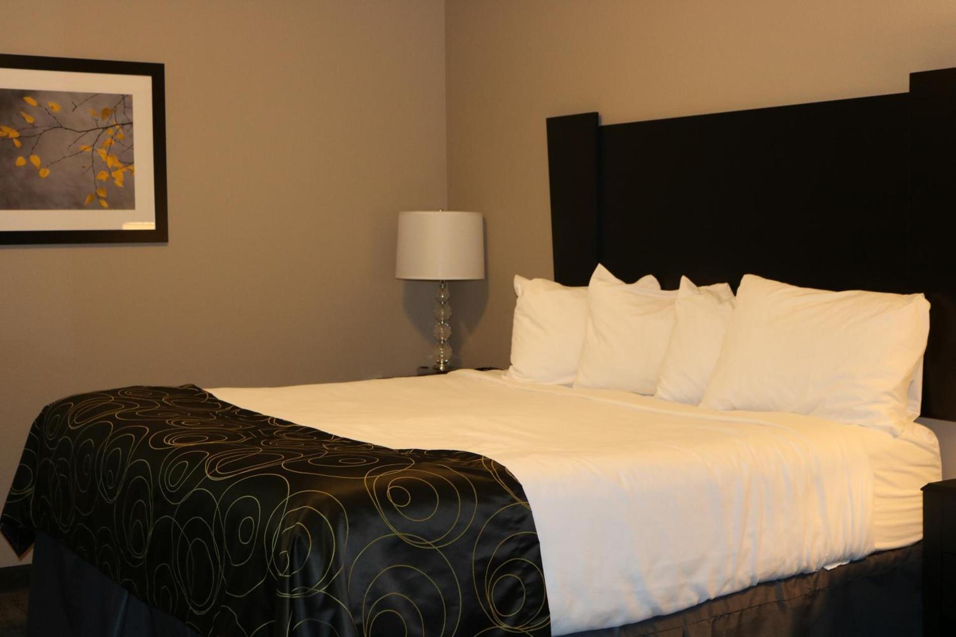 Okoboji Inn & Suites photo 8