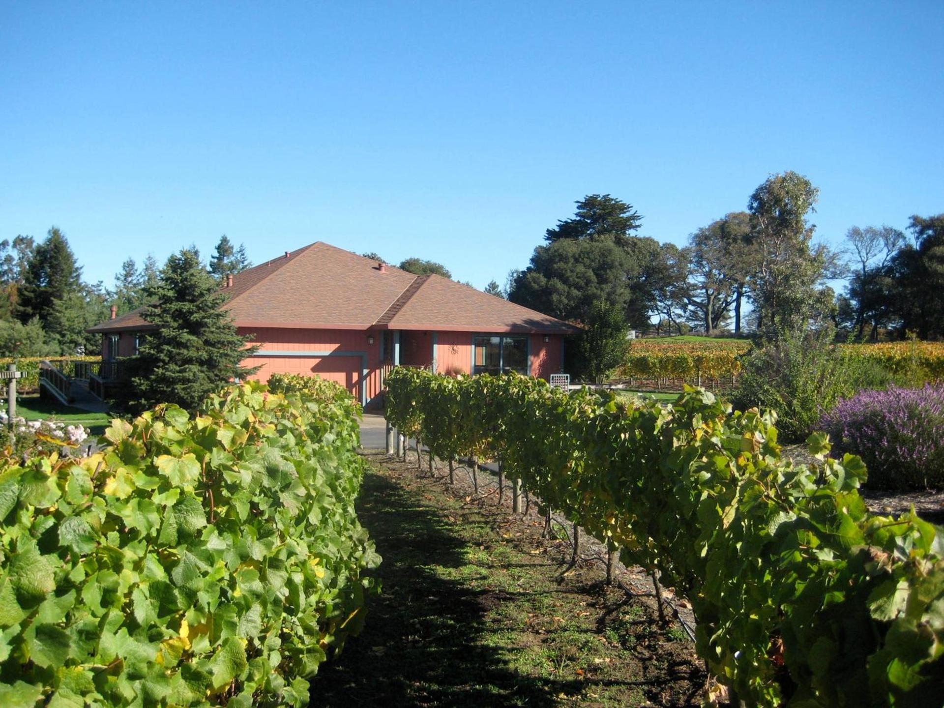 Pearlessence Vineyard Inn photo 18